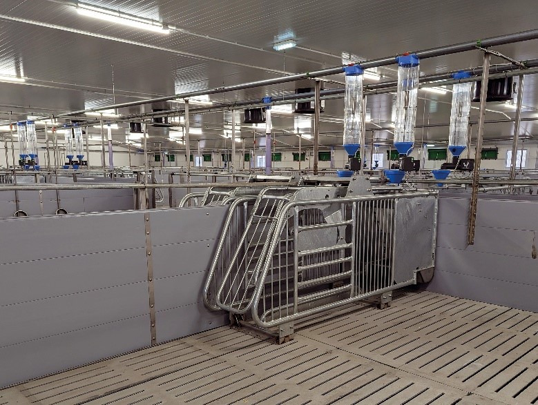 Alimentazione elettronica di gruppo