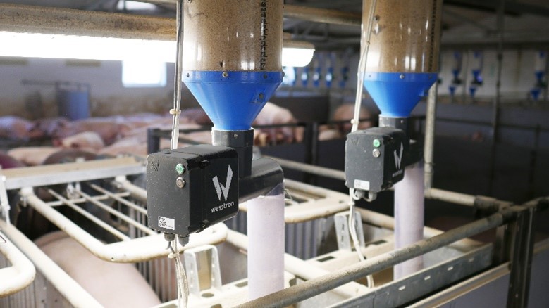 Alimentazione elettronica individuale