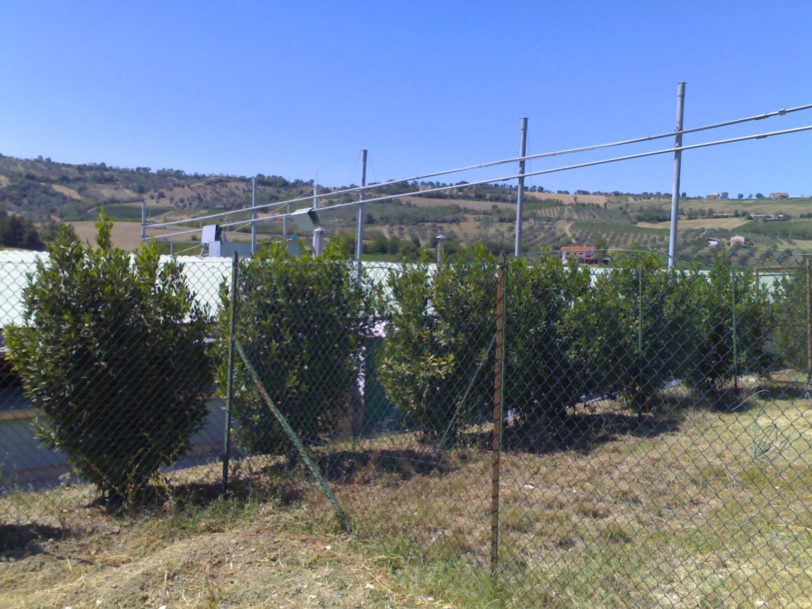 Immagine evento