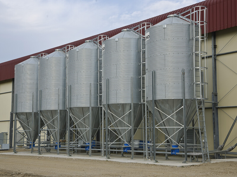 Allevamenti in batteria